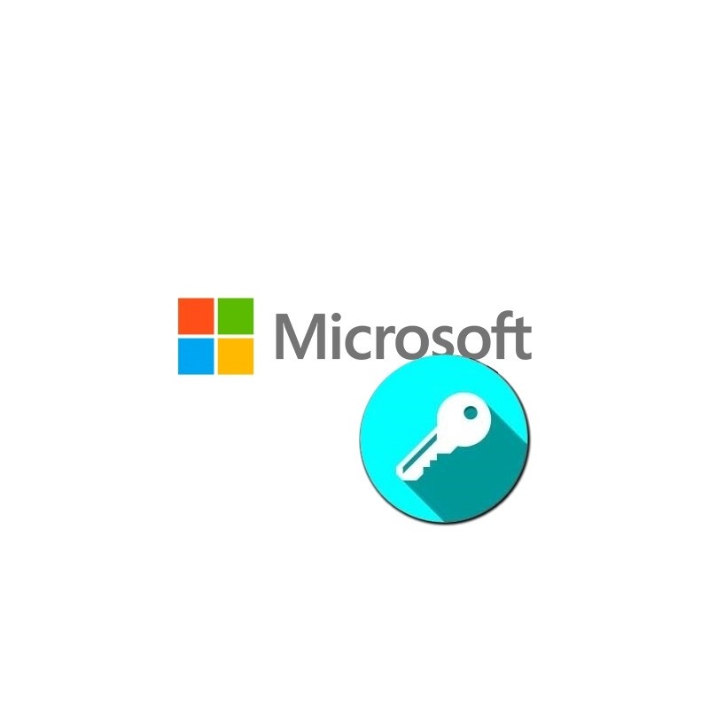 SOFTWARE MICROSOFT 51.522