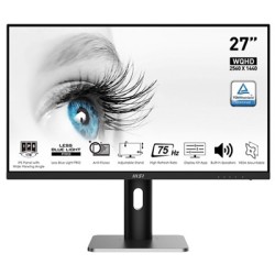 MONITOR MSI 30.69